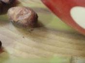 chocolat chaud fève cacao moulue maison