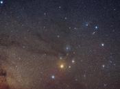 Portrait constellation Scorpion