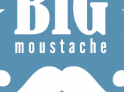 Faux moustachus Parc Astérix