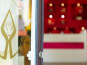 BIEN -ETRE: Notre expérience Serendip