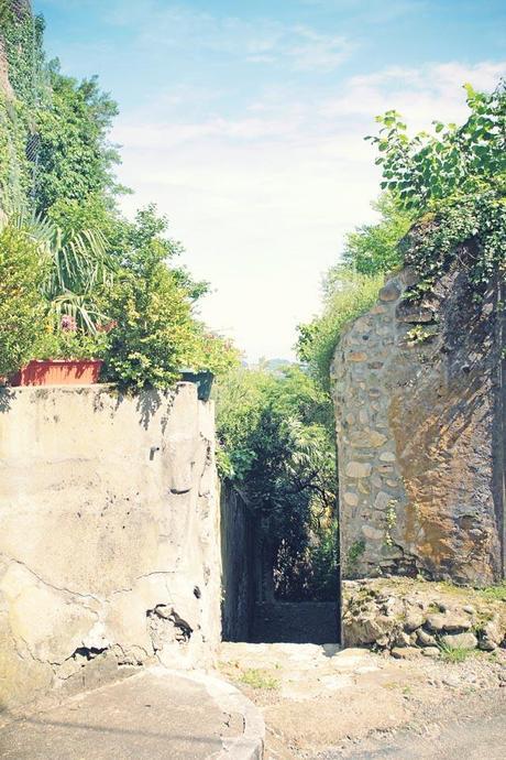 SAUVETERRE-DE-BEARN, CHARMING VILLAGE SAUVETERRE-DE-BEARN, CHARMING VILLAGE