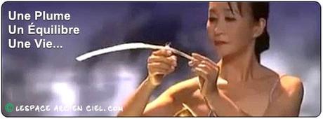 Une plume un équilibre une Vie