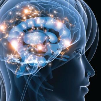 Des chercheurs israéliens traitent l'alcoolisme par l'effacement des souvenirs - siliconwadi.fr cerveau