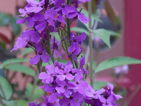 n'oublie jamais que tu sais t'envoler