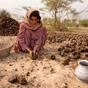 Visa pour l’image 2013 | Perpignan