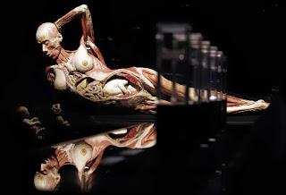 toute ma tête et tout mon corps