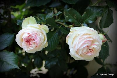 Pierre de Ronsard...