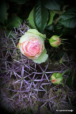 Pierre de Ronsard...