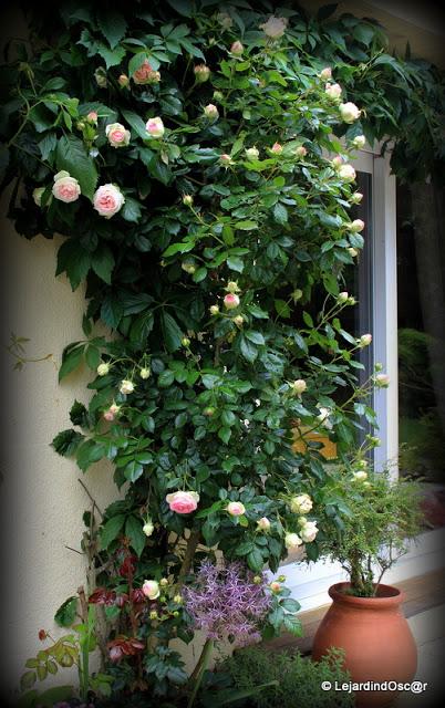 Pierre de Ronsard...