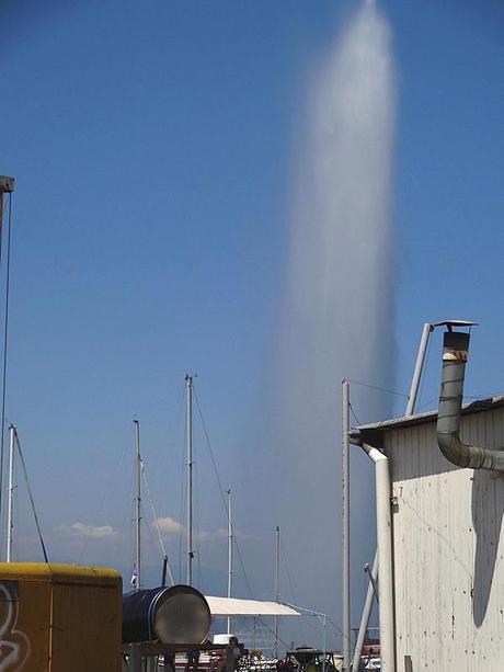 pieton genève,pietons genevois