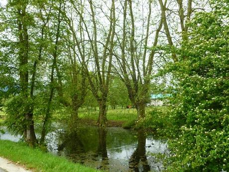 Sieste sur les bords du lac d’Annecy