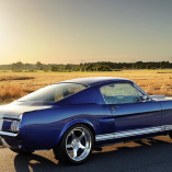 Shelby GT350CR Shelby GT350CR