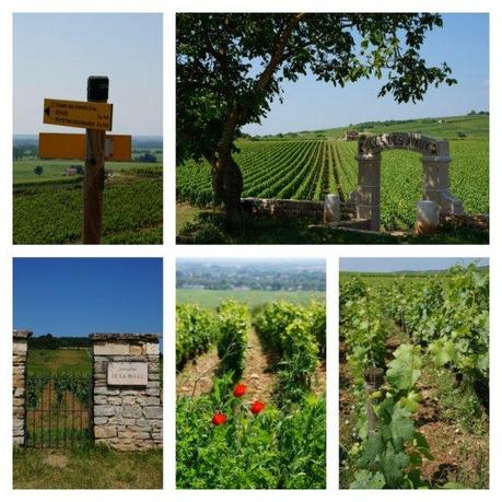 Une escale en Bourgogne