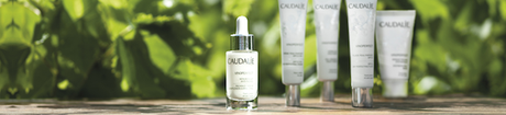 Caudalie, un nouveau coup de ♥