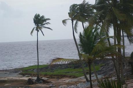 IMGP2753 Kourou les Roches