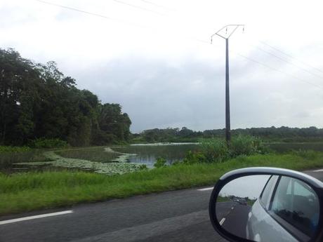 20130515 151012 en route a Kourou