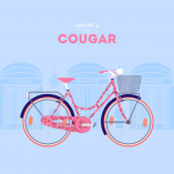 Montres moi ton vélo je te dirai qui tu es!