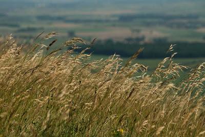 Là-haut sur la colline