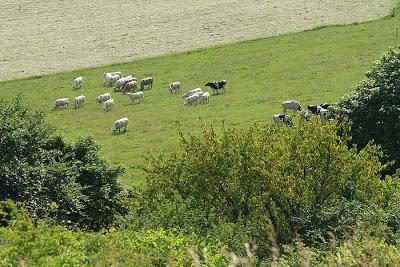 Là-haut sur la colline