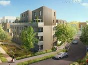 Palaiseau début travaux chaufferie biomasse