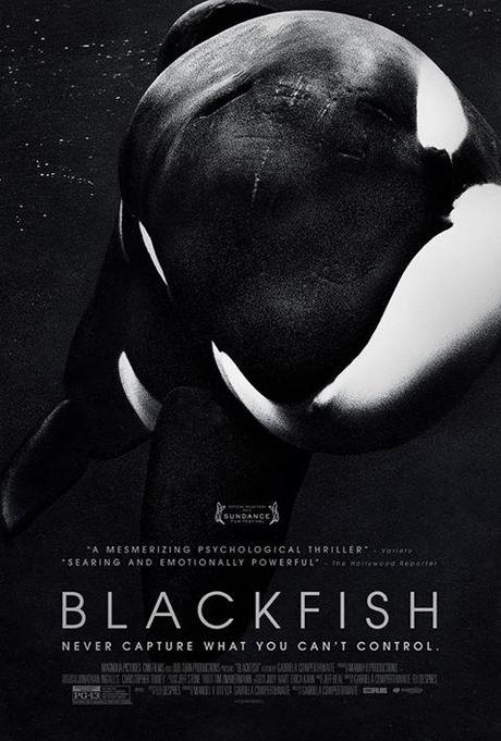 Blackfish: A killer whale gone very bad