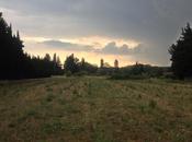 Soir d'orage d'été