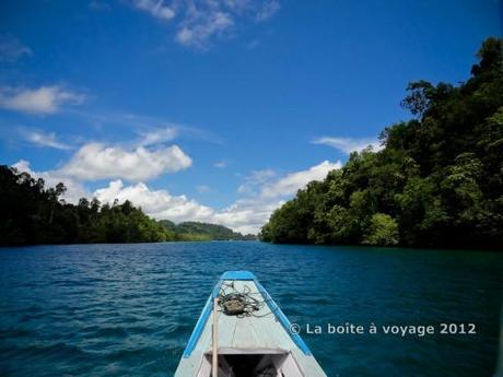 Virée en bateau au coeur de la mangrove des Togian (Sulawesi Centre, Indonésie)
