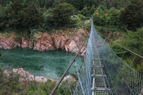 Nouvelle Zélande - Nelson & buller gorge swingbridge - les lubies de Louise (1 sur 1)