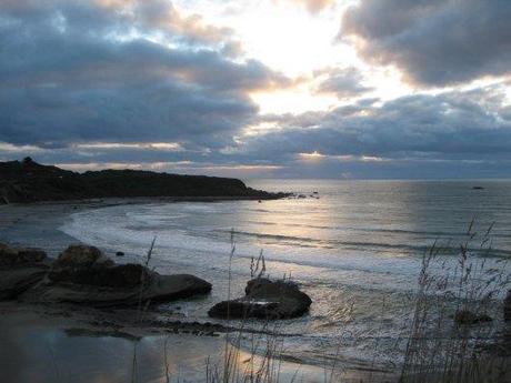 Nouvelle Zélande - Nelson & buller gorge swingbridge - les lubies de Louise (41 sur 42)