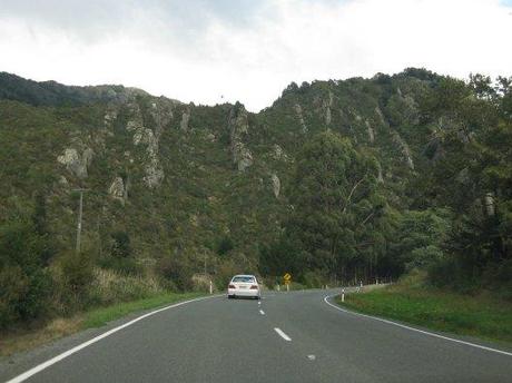 Nouvelle Zélande - Nelson & buller gorge swingbridge - les lubies de Louise (18 sur 42)