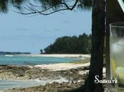 Caipirinha Rodrigues!