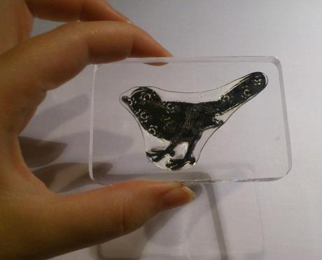 Tampon transparents/ clear stamps