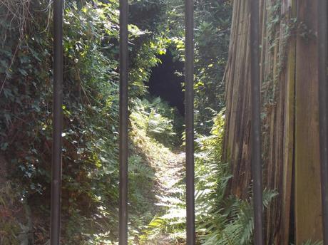 histoire Gacillyenne-tome-1