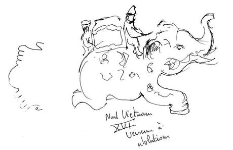 eleph guimet 2011-10072013