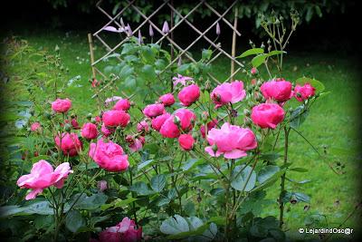 Puisque l'été s'est installé depuis plusieurs jours maint...