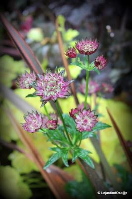 Puisque l'été s'est installé depuis plusieurs jours maint...
