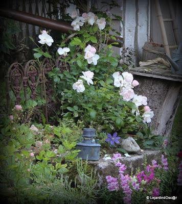 Puisque l'été s'est installé depuis plusieurs jours maint...