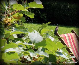 Puisque l'été s'est installé depuis plusieurs jours maint...
