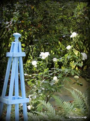 Puisque l'été s'est installé depuis plusieurs jours maint...