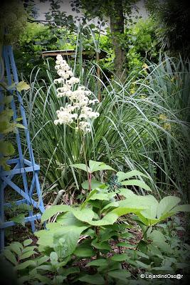 Puisque l'été s'est installé depuis plusieurs jours maint...