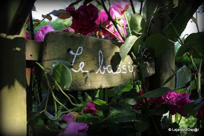 Puisque l'été s'est installé depuis plusieurs jours maint...