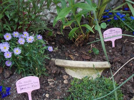 escapade en Gacilly tome sawyer