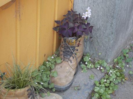 escapade en Gacilly tome sawyer