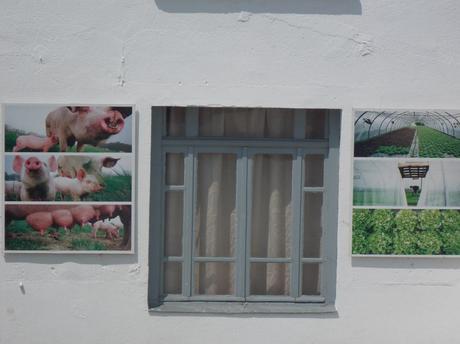 escapade en Gacilly tome sawyer