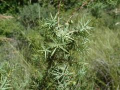 citations,société,écriture,livre,littérature,culture