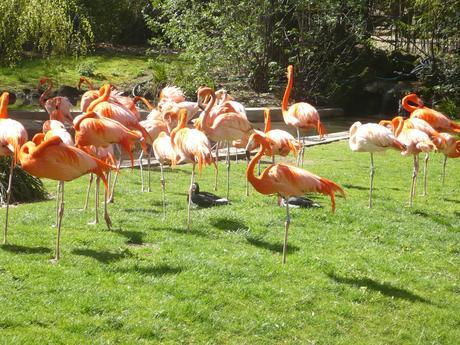 942. Promenades Parisiennes #4