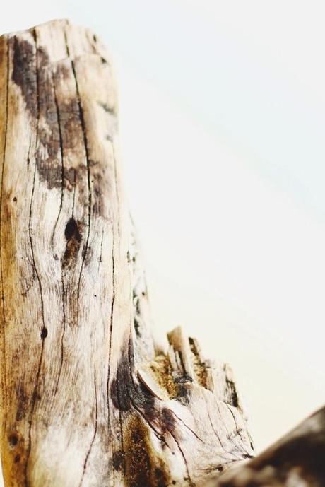 Partie 2. COSTA RICA PLAYA PURA VIDA