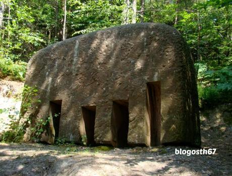 Le_peigne_pour_elephant