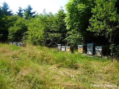 SAINT-HUBERT(57)-Sortie Pédestre