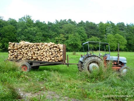SAINT-HUBERT(57)-Sortie Pédestre